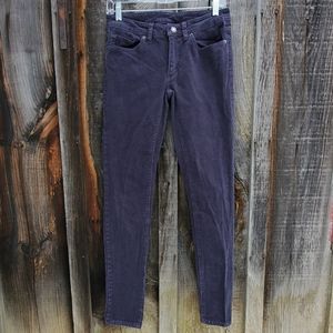 Patagonia Corduroy Navy Blue Pants Size 27